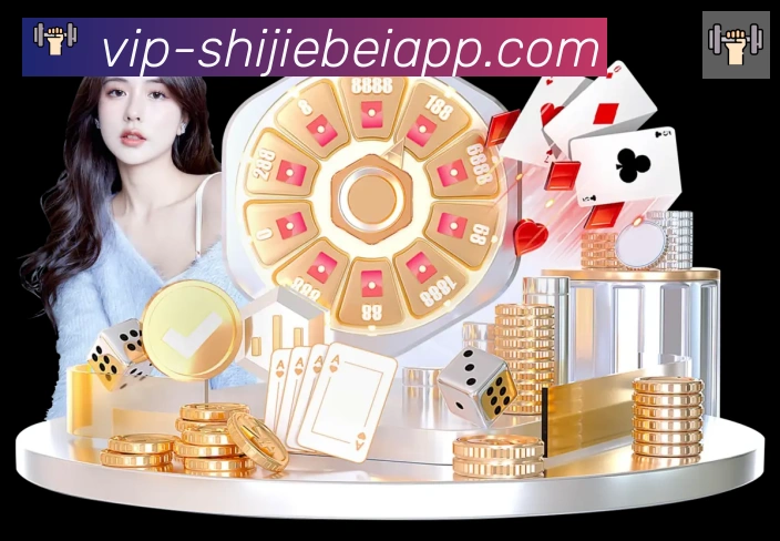 2026世界杯APP下载发展历程
