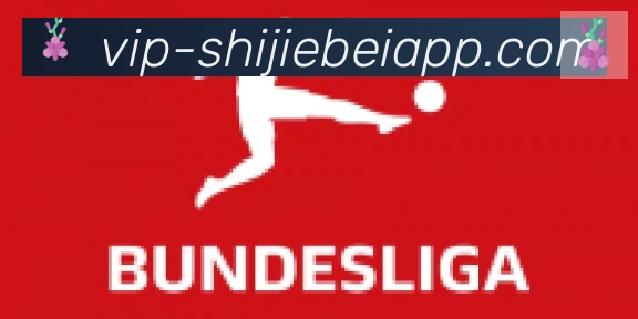 2026世界杯APP下载合作伙伴